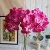 New Arrival Silk Single Stem Spring Series Orchid Artificial Orchids Phalaenopsis for Wedding Centerpiece 5 Colors