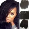 Malaysian Corase Yaki Straight Clip In Remy Hair Extension Kinky Straight Hair Weaves Gratis frakt No Tangle Top Quality