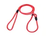 Corde de Traction pour chien, 50 pièces/lot, livraison rapide, chaîne P, collier pour chien, laisse pour animaux de compagnie, matériau en Nylon confortable