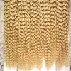 Färg 613 Blek blond brasilianskt hår 500g Applicera tejphäftande hudväfthår 200PCS Brasiliansk Kinky Curly Tape In Human Hair Extensions