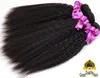 PAIL DE TIPLA EM ENTRENA 9A CABELO ELETO DO CABELO Brasileiro Malásia Extensões de cabelo humano indiano 3/4 PCs lote de cabelo liso de lote reto