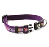 Fashion Purple Nylon Material Dog Collar Leash Dogs Princess Leashes Collars 6043023 Pet Supplies Accessories