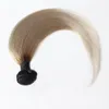 Ombre Brazilian Straight Hair Colored 100% Human Hair Weave Bund 100g 1PCS T1B/Gray Non-Remy Hair Weaving