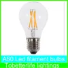 E27 LED Filament Light A60 A19 A60 Lampen E27 B22 8W 6W 4W 2W 360 Hoek LED-verlichting Edison Lamp AC85 ~ 265 V CE ROHS