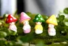 Mushroom -beeldje Cactus Ornament Diy Materiaal Moss Terrarium Decor Micro Landschap Accessoires Miniatuur Fairy Garden Diy Zakka 47583500