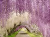 New Arrival Elegant Artificial Hydangea Silk Flower Vine Home Wall Hanging Wisteria Garland 14 colors Available For Wedding Xmas Decoration