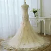 Champagne Mermaid Wedding Dress Long Sleeves Fairy Plus Size Wedding Dresses Sheer with Lace Applique Bridal Gowns