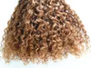 Malásia Virgin Curly Hair Tece-se Queen Hair Produtos Naturais Preto Preto Humano Extensões 1Bundles Um Lote Beleza Trama