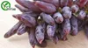 30 particelle / lotto semi di uva piante da giardino bonsai frutta biologica e semi di verdure P07
