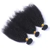 Afro Kinky Cury Peruvian人間の毛髪の伸びの自然な色二重拭いた3バンドルアフロカーリーバージンレミー人間の髪織り10-30 "