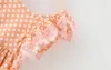 2017 bebé niña niños vestido de fiesta Niñas Polka Dot vestido de encaje vestidos de princesa vestidos de navidad Vestidos de niñas Ropa de niños vestidos de niños