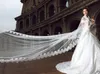 2017 Neuer eleganter 5 m langer Hochzeitsschleier mit appliziertem Rand, weiß, elfenbeinfarben, Hochzeitszubehör, Hochzeitskleid, langer Charm-Brautschleier3632715