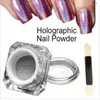 1 g / box 3D błyszczące brokat srebrny pigmenty holograficzne laser do nail Art Gel Polski Rainbow Chrome Shrem Sherma