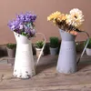 Élégant country de style français country primitif arrosage de vase de fleurs