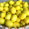 Mini giallo artificiale finto limone simulazione plastica frutta soggiorno cucina decorazione della casa tavolo ornamento decorativo ZA2603