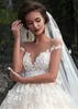 Dresses Fantastic Tulle Bateau Neckline Ball Gown Wedding Dresses With Lace Appliques Hot Design Champagne Bridal Gowns vestido de novia
