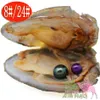 Shell Wish Pearl Oyster Vacuum Pack Oyster Wish Freshwater Pearl Pearl Olika Styles Fashion Beads Mystisk present Överraskning