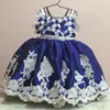 Royal Blue First Communion Dresses Toddlers Appliques Sash Backless Flower Girls Dresses For Weddings Back Lace Up Bow Girls Pageant Dress