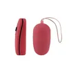 Double Bullet Egg Vibrator Vibe Remote Control Waterproof Sex Toys For Women #T701