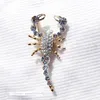 Luxury Shiny Crystal Rhinestone Scorpion Broscher för Kvinnor Lady Fashion Scarf Pins Brosch 18K Guldpläterade Smycken Gåvor