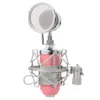BM8000 Professionell ljudstudio Recording Condenser Wired Microphone 3.5mm Plug Stand Holder Pop Filter för KTV Karaoke