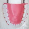 Gran oferta 6 veces modelo de clínica Dental de gran tamaño modelo de dientes