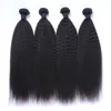 8A PERUVIAN Maagd Haar 100% Menselijk Haar Afro Kinky Straight Curl Hair Weave Inslag Bundels Verlengings Remy Quality