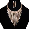 Chic Womens Jewelry Sets Gift Idea 18K Gold Plated Rhinestone Embelishment Tassel Party Necklace Earring Sets