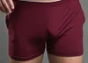 Taddlee marchio sexy uomini biancheria intima boxer pantaloncini da uomo trunks man cotone biancheria intima di alta qualità per abbigliamento da sonno di alta qualità nuove 241q