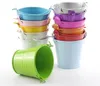 200PCS Metal Wedding Party Shower Present Potted Plants Mini Small Assorted Colored Tin Pails Buckets Bucket Candy Chocolate Box