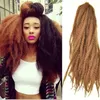 wholesale trecce marley Estensioni dei capelli ricci afro crespi sintetici afro twist ricci marley intrecciare i capelli all'uncinetto trecce tessuto dei capelli bolote