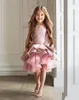 2021 Luxury Pink Flower Girl Dresses For Wedding Lace Appliques Ruffles Tiered High Low Length Birthday Kids Beauty Pageant Ball G7282595