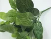 Bitkinin doğrudan bitki duvar duvar yeşil plantasyon simülasyonu retikülat yaprakların 7 satır bırakır