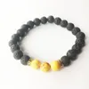 Brand new Natural stone volcanic stone emperor stone turquoise bracelet FB255 mix order 20 pieces a lot Charm Bracelets
