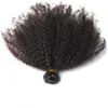 Capelli umani vergini brasiliani Afro crespo onda riccia capelli Remy non trattati tesse doppie trame 100 g/pacco 2 pacchi/lotto può essere tinto decolorato