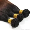 New Arrival Color 1B/4/27 Ombre Hair Weaves Brazilian Straight Human Hair Extensions 100G/Piece Remy Hair Bundles