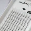 Free shipping Top Korean lashes 9-15mm 5D False Eyelashes Extension 5D Lashes Lashes VOLUME Fans Flase Eyelashes Seashine