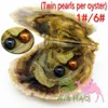 30 PZ Spedizione Gratuita Perle d'Amore Ostriche 1 # e 6 # Colore 6-7 mm Gemelli Rotondi Naturali Perle di Ostrica Confezione Sottovuoto Festa