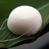 Atacado Novo Hot Selling Natural Konjac Konnyaku Facial Puff Cara Lavagem Limpeza Esponja Branco Frete Grátis