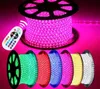 Zoek vergelijkbare 100m 110V 220V LED -strips SMD 5050 touwlicht IP67 Flex striplampen Outdoor verlichting String Disco Bar Pub Kerstmis