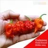 100 Samen - 100% echte frische seltene rote "Carolina Reaper" Pfeffersamen (heiße Chili) Bio-Gemüsesamen * freies Verschiffen