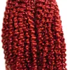 빨간색 인간의 머리카락 번들 몽골어 변태 cCurly 머리카락 200g 2pcs 아프리카 곱슬 곱슬 한 곱슬 머리 두 번 씨실 품질, 아니 흘리기