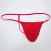 Pochette profilée pour hommes Sexy G-String Thong avec anneaux T420 stretchy Silky Soft Underwear nylon spandex