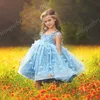 Little Girls Birthday Dresses with Cap Sleeves and V Neck Ball Gown Cute Flower Girls Dress with Hand Flowers Knee Length