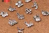12 علامات البروج المعلقات سحر التبت الفضة اثنين من جانب التجهيزات الحساسة ملحق لصنع المجوهرات ديي