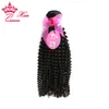 Queen Hair 8-30Inch bästa kvalitet fabrikspris Naturliga brasilianska Virgin Cuticle Hair Weaving / Weft Kinky Curl Curly Human Hair