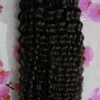 Micro Loop Ring Hair Extensions 100g Brasilian Remy Mänskliga Hår Kinky Curly Micro Ring Loop Hårförlängningar