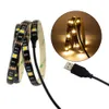 MJJC 5V USB LED -remsor Vattentät 50cm 1M 2M RGB SMD5050 Flexibla LED -bandbelysningar för TV -bildatortältbelysning utomhus IP651087264