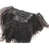 Remy-Echthaar-Clip-In-Extensions für Afroamerikaner 4a, mongolisches Afro-Kinky-Curly-Haar, 824 Zoll, FDSHINE3130379