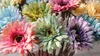 Afrikansk Daisy Gerbera Jamesonii Silk Flower Kick Stand Vardagsrummet är dekorerat med falska blommor